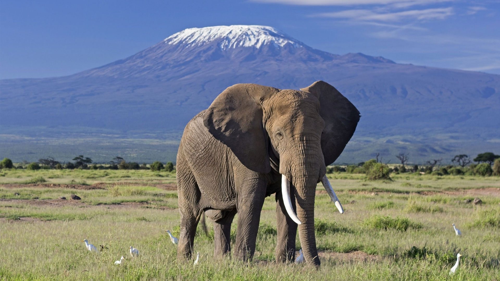 banner-image